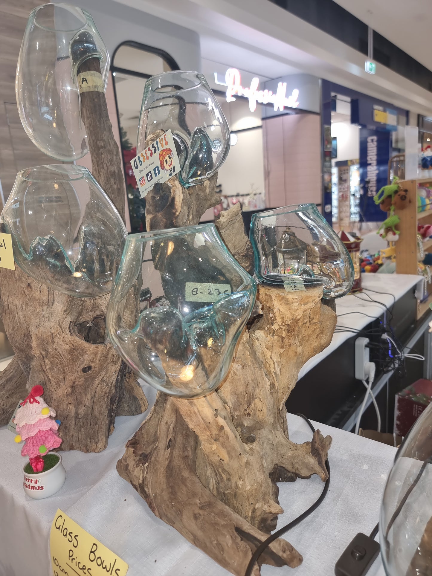 Glass Display Bowl Trees
