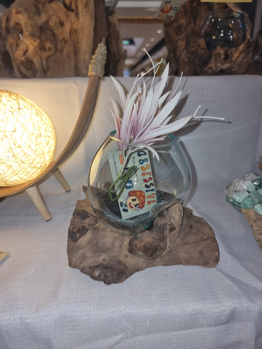 Glass Display Bowls